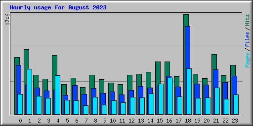 Hourly usage for August 2023