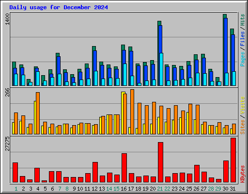 Daily usage for December 2024