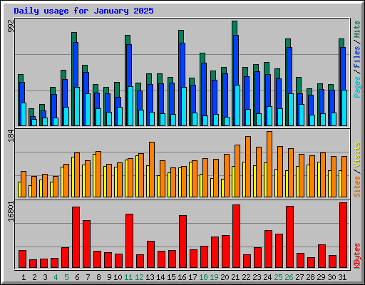 Daily usage for January 2025