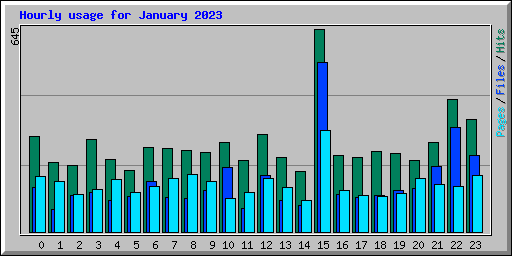 Hourly usage for January 2023