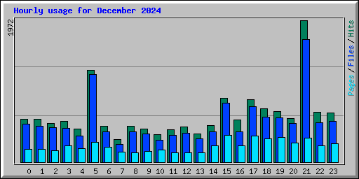 Hourly usage for December 2024