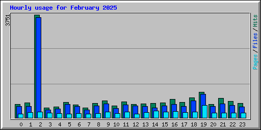 Hourly usage for February 2025