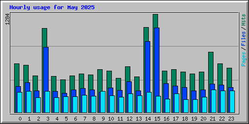 Hourly usage for May 2025